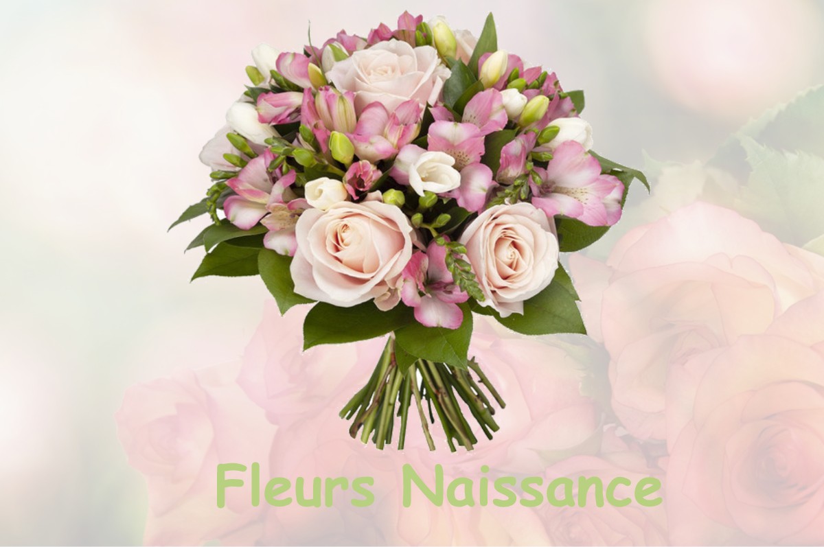 fleurs naissance MARSSAC-SUR-TARN